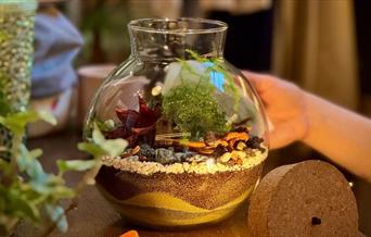 Closed Rainforest Terrarium Workshop with LED Light Feature