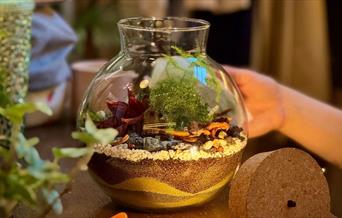 Tropical terrarium with light