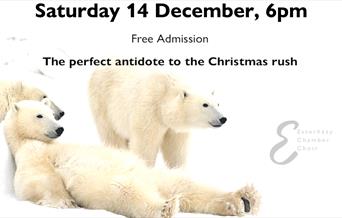 Polar bears - chilling out!
