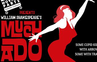 Outdoor Theatre: Much Ado About Nothing