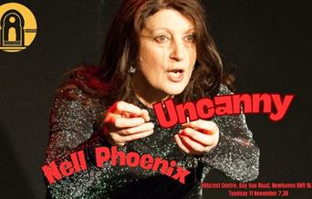 Storyteller - Nell Phoenix