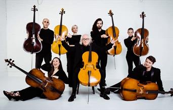 Members of The Massive Violins