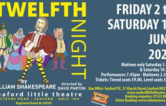 Poster for Twelfth Night, cartoon style