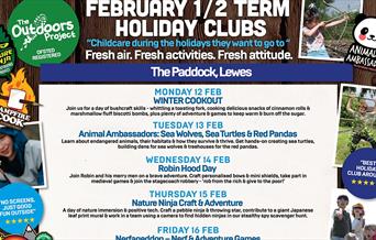 Poster for half term clubs