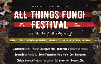 Poster for funghi event