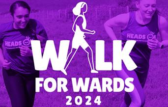 Walk For Wards poster