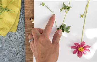 Flower pressing in progress