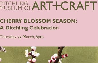 Cherry blossom in Ditchling
