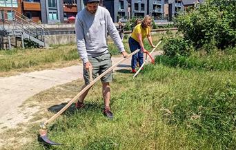 Scything along the river Ouse