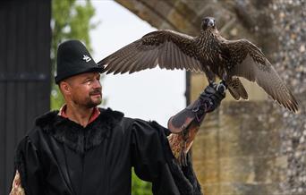 Man in Medieval dress with Hawk