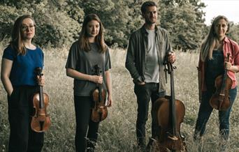 Consone String Quartet