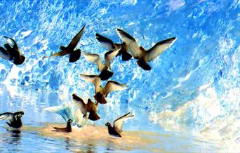 Painting of birds in flight