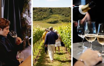 Series of photographs featuring sparkling wines and Sussex vineyards