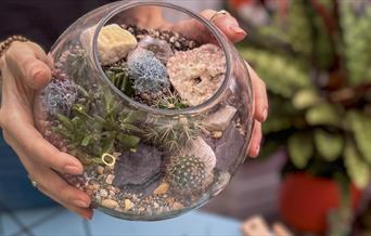 completed terrarium