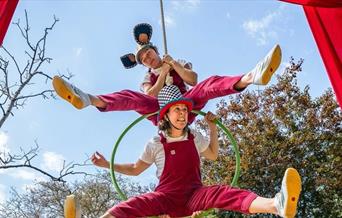 Aerial Circus