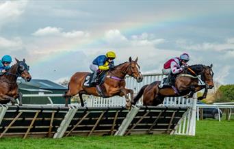 Racehorses clearing a hurdle at Plumpton