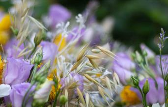 Outdoor Photography Session