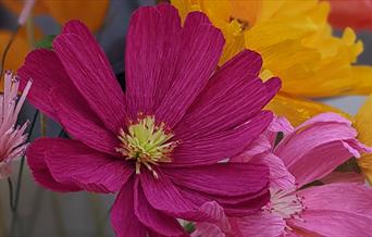 Paper flowers