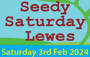 Seedy Saturday poster