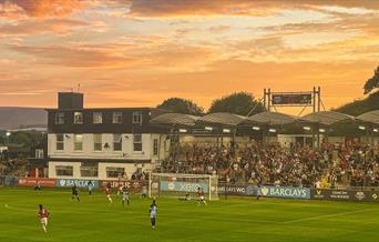 the dripping pan