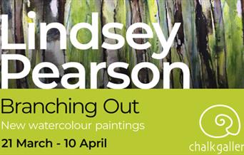 Meet The Artist-Lindsey Pearson