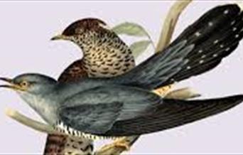 2 birds on a branch