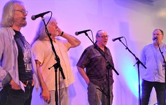 Folk group performing.