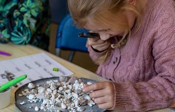 Girl examining stones with magnifying glass for archaeological adventure