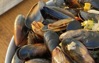 Moules Night