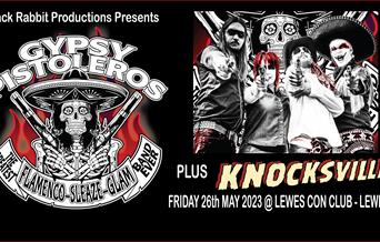 Gypsy Pistoleros poster