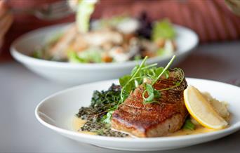Delicious plate of restaurant food