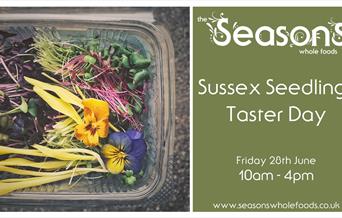 Container of seedlings with event details