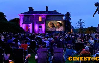 Audience at Open Air cinema
