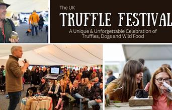 Truffle Festival poster
