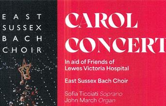 Event details with Christmas tree