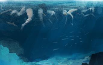 Image of snorkelers