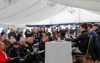 Cheltenham Preview Raceday
