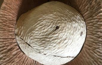 Round wooden sculpture