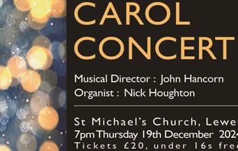 Christmas lights with concert details