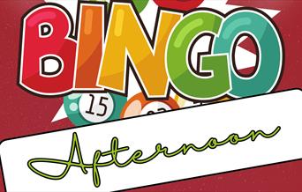 Bingo poster sign