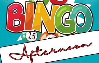 Bingo Afternoon poster sign