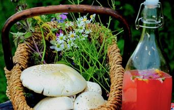 Basket of foraged foods