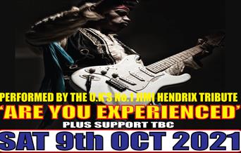 Are you Experienced