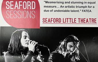 Black Feathers Music Duo