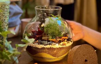 Rainforest terrarium with led light fitting