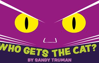 Cat poster