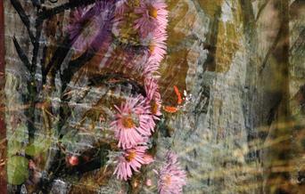 Flowers against flint wall image