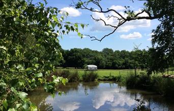 Beeches Place Farm