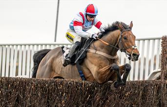 Racehorse jumping fence at Plumpton