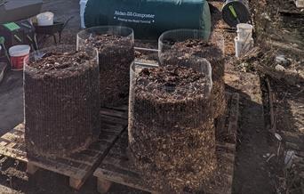 Compost Club tour - Introduction to the soil food web and living compost